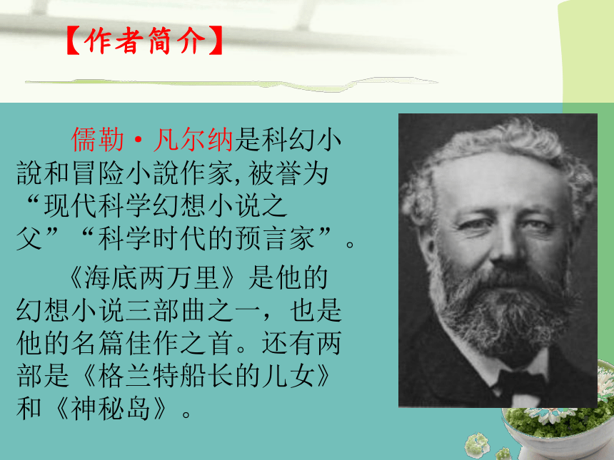 上海室内热带雨林_上海热带雨林浴场营业时间_上海科技馆热带雨林