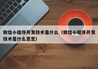 微信小程序开发技术是什么（微信小程序开发技术是什么意思）