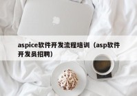 aspice软件开发流程培训（asp软件开发员招聘）