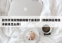 软件开发和物联网哪个前景好（物联网应用技术前景怎么样）