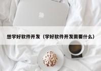 想学好软件开发（学好软件开发需要什么）