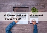 哈尔滨seo优化排名推广（哈尔滨seo排名优化公司价格）