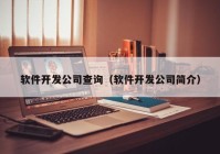 软件开发公司查询（软件开发公司简介）